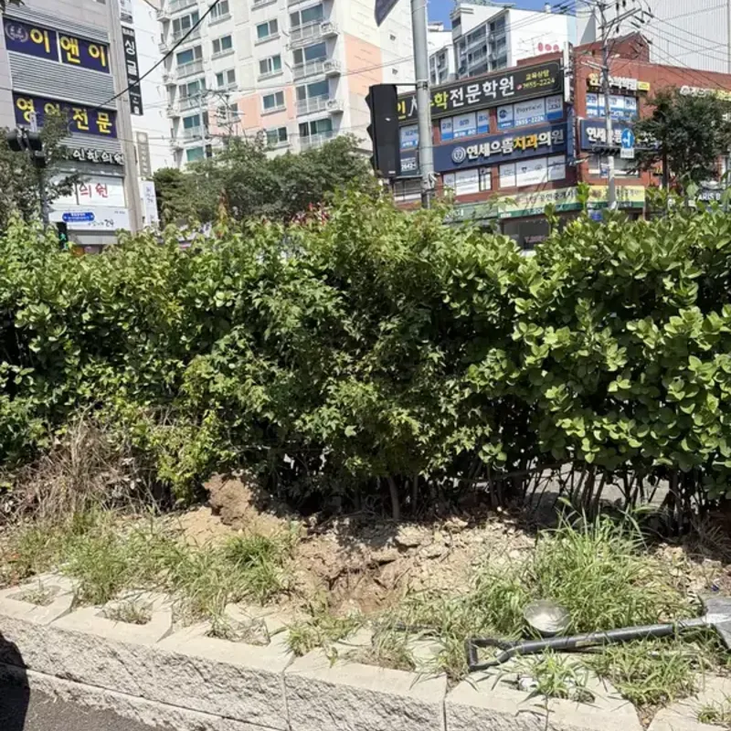 사각지대 반사경 도로변 화단 앞 반사경 설치 시공 전